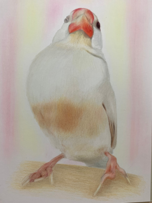 ペットの似顔絵　ネコ似顔絵　オーダーメイド　リアル　イラストオーダー　うちの子　ペット　ねこ また 宜しくお願い致します