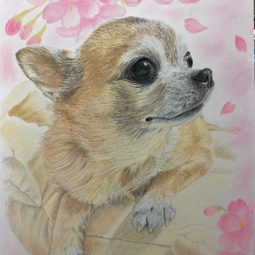 ペット似顔絵 お花畑🌸 イラストオーダー 犬 猫 うさぎ