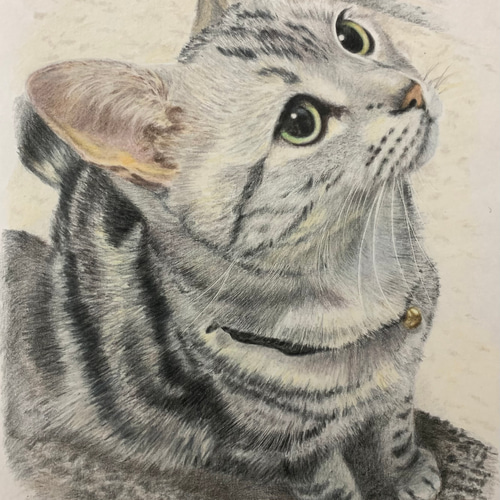 ペットの似顔絵 ネコ似顔絵 オーダーメイド リアル イラスト ペットの似顔絵 ネコ似顔絵 オーダーメイド リアル イラスト