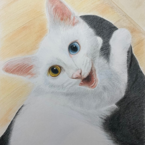 ペットの似顔絵 ネコ似顔絵 オーダーメイド リアル イラスト ペットの似顔絵 ネコ似顔絵 オーダーメイド リアル イラスト