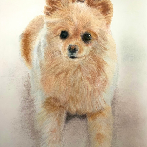 8787ya ペット似顔絵オーダー 絵画 原画 ペット 犬 猫 動物 ペット似顔絵 ねこ いぬ 似顔絵オーダー 肖像画 オーダーメイド