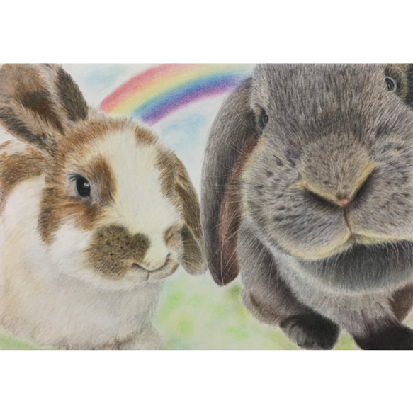 ペットの似顔絵 ネコ似顔絵 オーダーメイド リアル イラスト