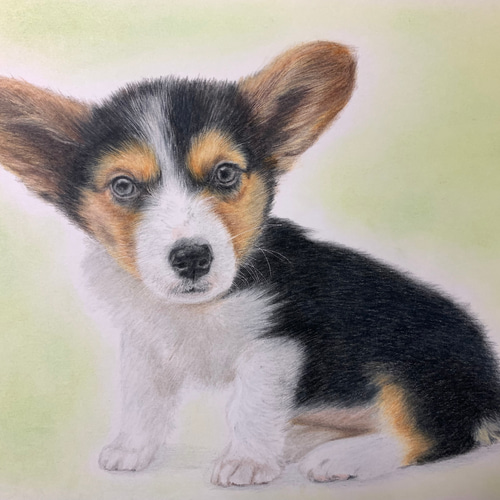ペットの似顔絵 ネコ似顔絵 オーダーメイド リアル イラスト ペットの似顔絵 ネコ似顔絵 オーダーメイド リアル イラスト