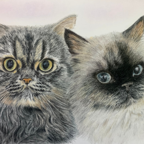 ペットの似顔絵 ネコ似顔絵 オーダーメイド リアル イラスト ペットの似顔絵 ネコ似顔絵 オーダーメイド リアル イラスト