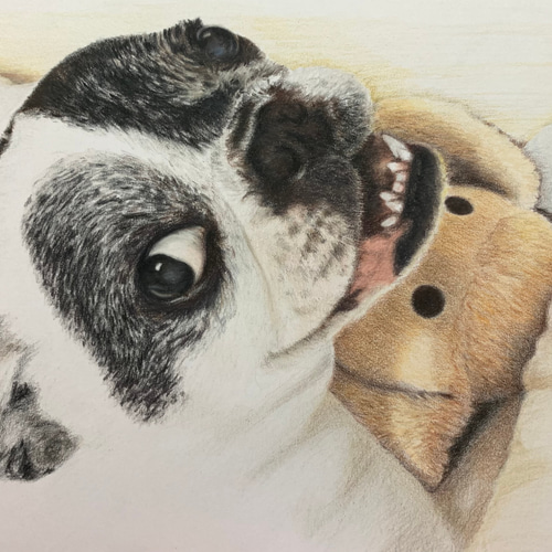 ペットの似顔絵 ネコ似顔絵 オーダーメイド リアル イラスト ペットの似顔絵 ネコ似顔絵 オーダーメイド リアル イラスト