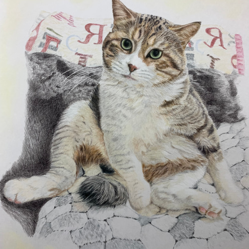 ペットの似顔絵 ネコ似顔絵 オーダーメイド リアル イラスト ペットの似顔絵 ネコ似顔絵 オーダーメイド リアル イラスト