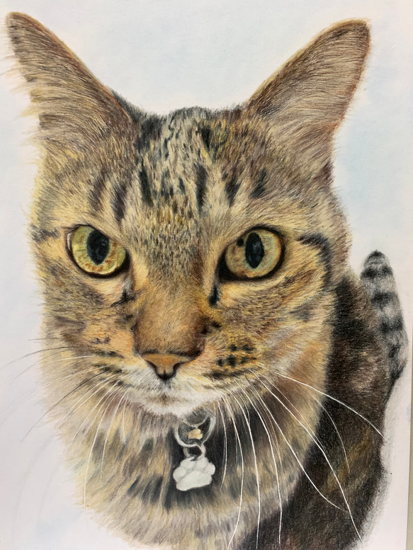 ペットの似顔絵　ネコ似顔絵　オーダーメイド　リアル　イラストオーダー　うちの子　ペット　ねこ 