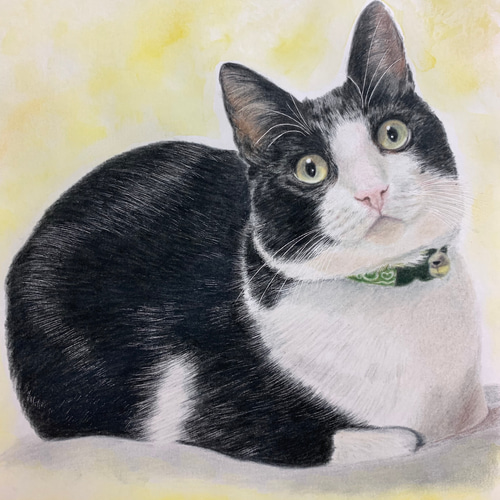 ペットの似顔絵 ネコ似顔絵 オーダーメイド リアル イラスト ペットの似顔絵 ネコ似顔絵 オーダーメイド リアル イラスト
