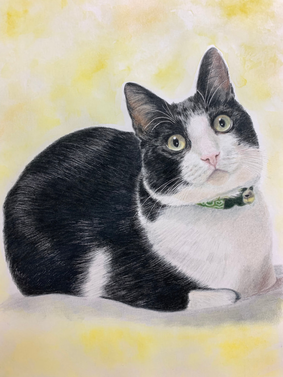 ペットの似顔絵オーダー 猫