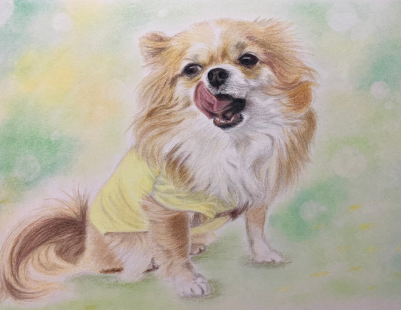 ペットの似顔絵　ネコ似顔絵　オーダーメイド　リアル　イラストオーダー　うちの子　ペット　ねこ 