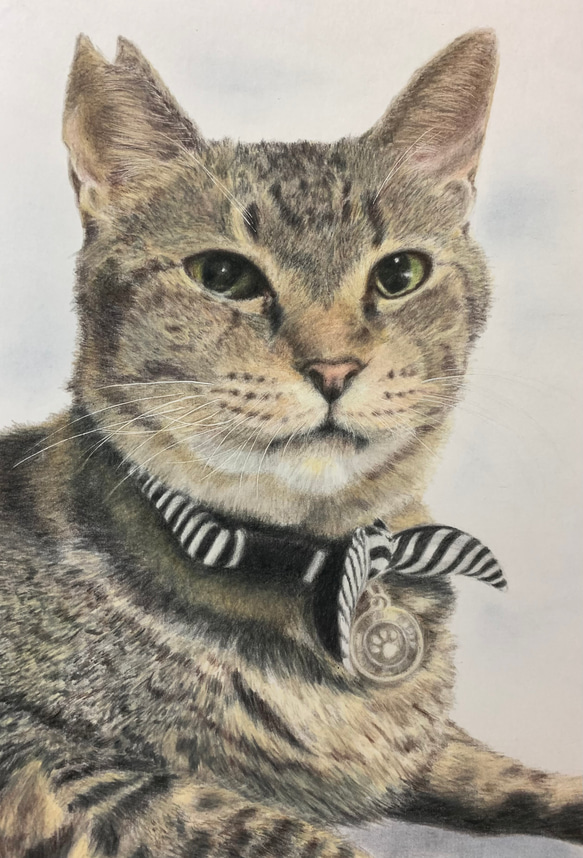 ペットの似顔絵　ネコ似顔絵　オーダーメイド　リアル　イラストオーダー　うちの子　ペット　ねこ 