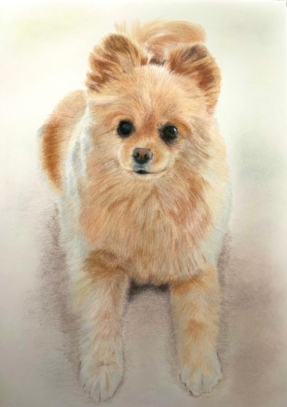 ペットの似顔絵　ネコ似顔絵　オーダーメイド　リアル　イラストオーダー　うちの子　ペット　ねこ 