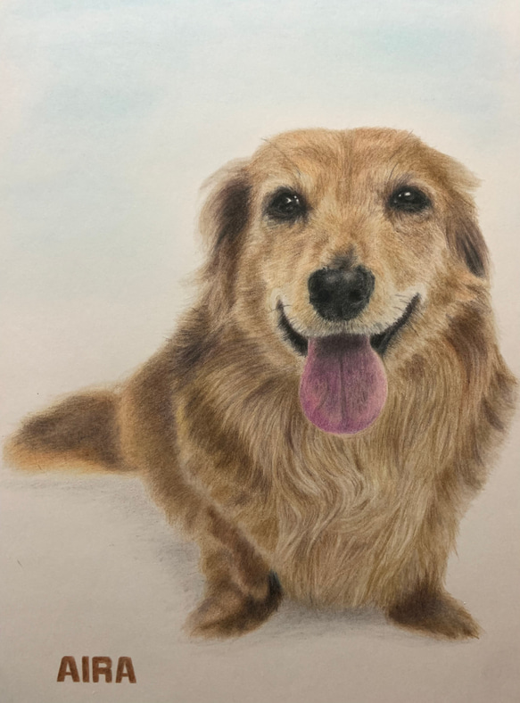 ペットの似顔絵　ネコ似顔絵　オーダーメイド　リアル　イラストオーダー　うちの子　ペット　ねこ 