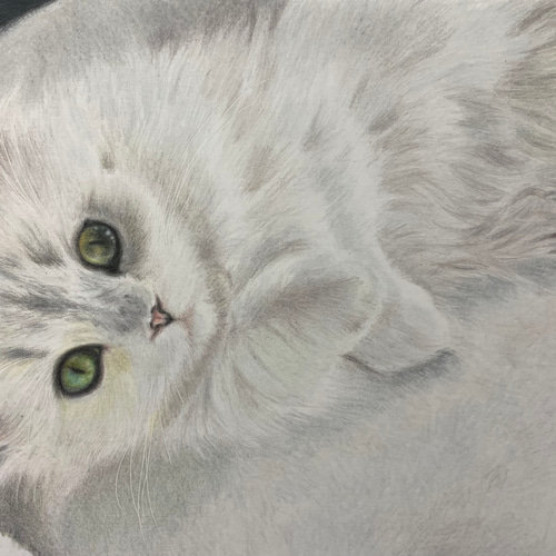 ペットの似顔絵オーダー　猫 ペットの似顔絵 ネコ似顔絵 オーダーメイド リアル イラスト