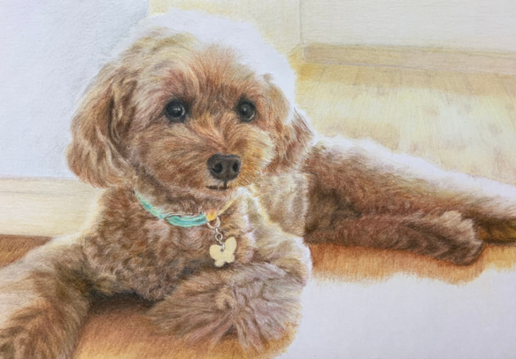 ペットの似顔絵　ネコ似顔絵　オーダーメイド　リアル　イラストオーダー　うちの子　ペット　ねこ 