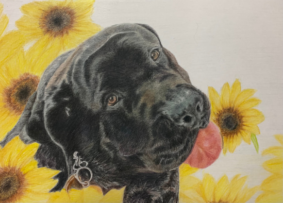 ペットの似顔絵　ネコ似顔絵　オーダーメイド　リアル　イラストオーダー　うちの子　ペット　ねこ 