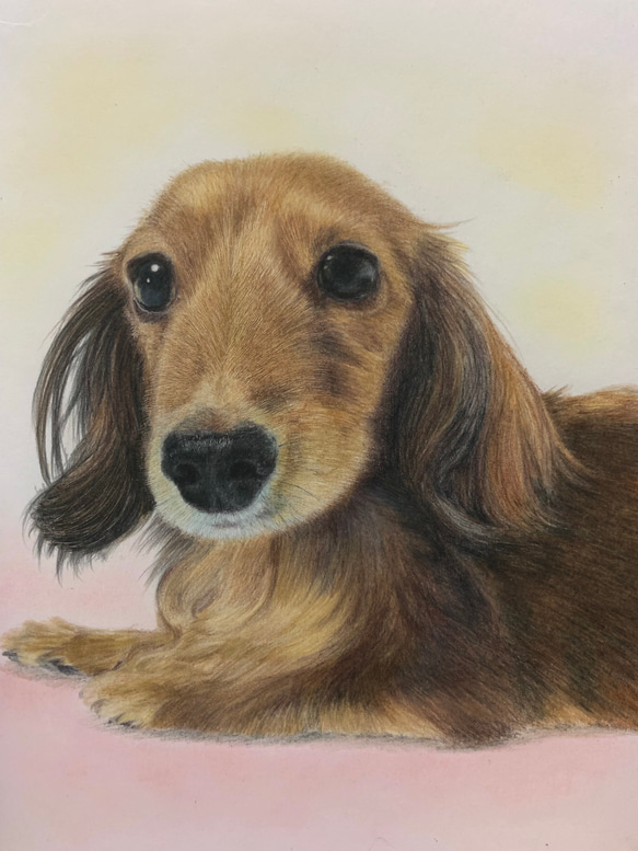 ペットの似顔絵　ネコ似顔絵　オーダーメイド　リアル　イラストオーダー　うちの子　ペット　ねこ 