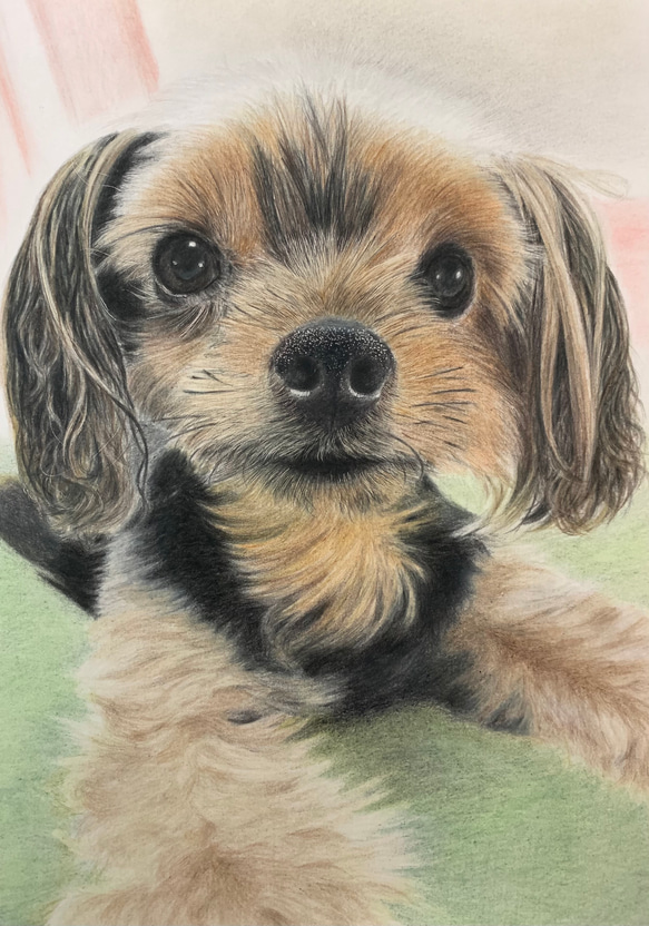 ペットの似顔絵　ネコ似顔絵　オーダーメイド　リアル　イラストオーダー　うちの子　ペット　ねこ 