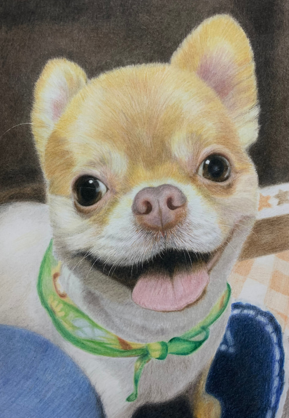 ペットの似顔絵　ネコ似顔絵　オーダーメイド　リアル　イラストオーダー　うちの子　ペット　ねこ 