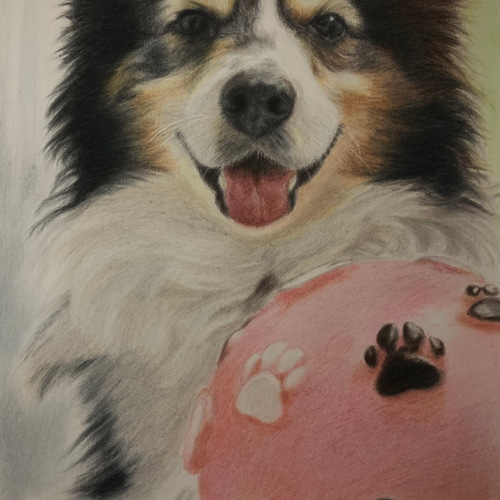 ペットの似顔絵 ネコ似顔絵 オーダーメイド リアル イラストオーダー