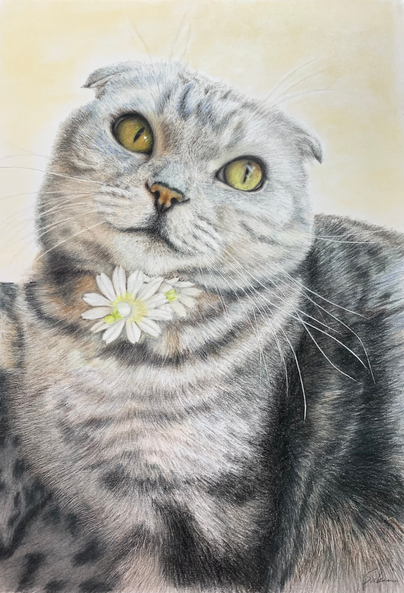 ペットの似顔絵　ネコ似顔絵　オーダーメイド　リアル　イラストオーダー　うちの子　ペット　ねこ 