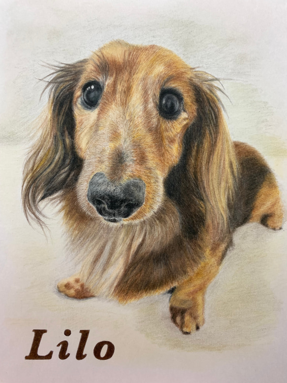 ペットの似顔絵　ネコ似顔絵　オーダーメイド　リアル　イラストオーダー　うちの子　ペット　ねこ 