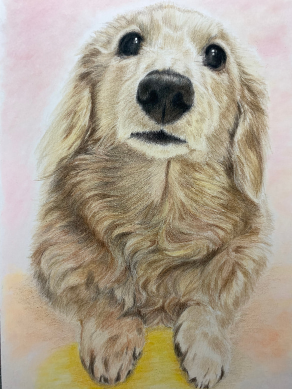 ペットの似顔絵　ネコ似顔絵　オーダーメイド　リアル　イラストオーダー　うちの子　ペット　ねこ 