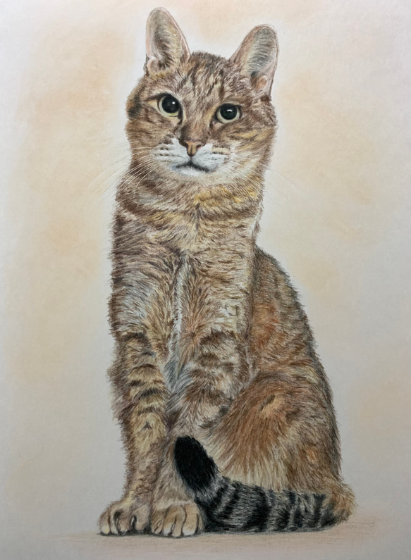 ペットの似顔絵　ネコ似顔絵　オーダーメイド　リアル　イラストオーダー　うちの子　ペット　ねこ 