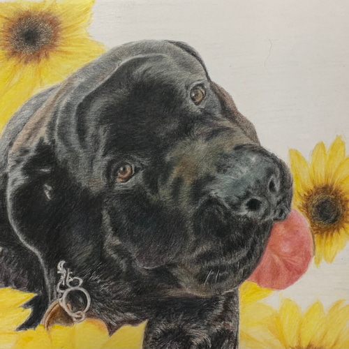 犬、猫、ペットの似顔絵オーダー 9bf14d1024e28074e3c8685b9fa074
