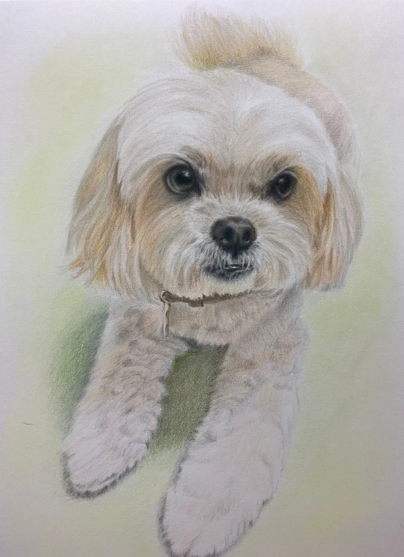 ペットの似顔絵　ネコ似顔絵　オーダーメイド　リアル　イラストオーダー　うちの子　ペット　ねこ 