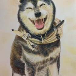 【ペット画ミニサイズ】オーダー制作　犬　猫　動物　イラスト ペット画ミニサイズ【犬、猫、その他動物】 絵画 D.アラキ 通販
