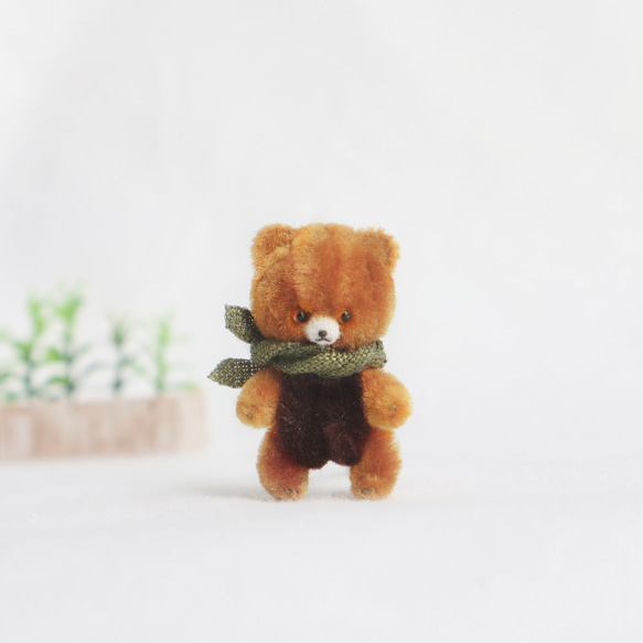 Proomy 恥ずかしがり屋の横目な赤ちゃんクマさん ミニチュア 