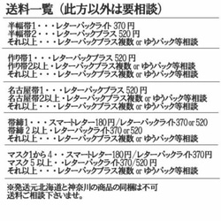 青地にカジキマグロ柄　半幅帯長尺リバ 6枚目の画像