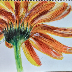 色鉛筆、マーカーペン、アクリル 絵画 Jason's arts 通販 14245145