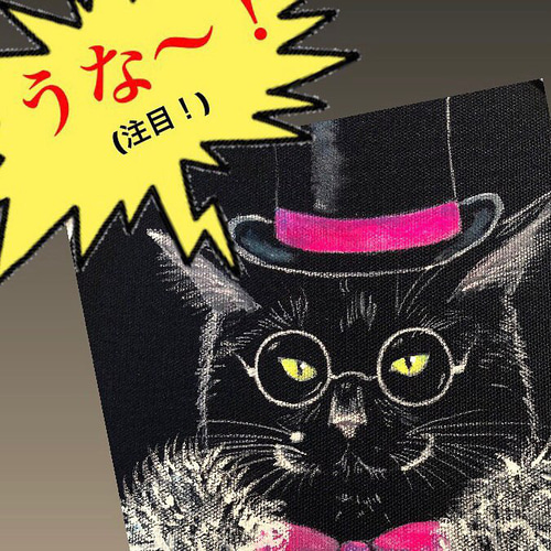 ハルピュイア」F0サイズ額付きアート作品 アクリル画 原画 徳島