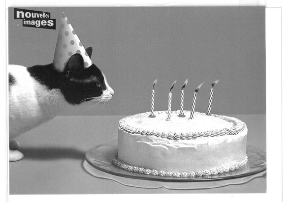 新商品！フランス製　グリーティングカード！『お洒落なモノクロ！ネコとケーキ　お誕生日カード』～２セット～ 1枚目の画像