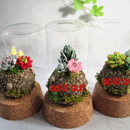 苔玉・小物置きガラス製台座 苔玉・小物置きガラス製台座 ガラス瓶の