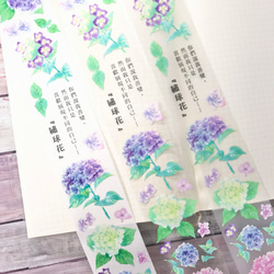 二代紫陽花/繡球花Hydrangea膠帶-和紙/亮P/霧P 可選 第6張的照片