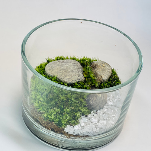 苔テラリウム【シンプル】【フィギュアが飾れる】 テラリウム 6F MOSS