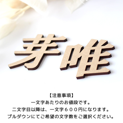 ♡オーダー♡名前入り木製グッズ＊ 木のおもちゃ飛鳥工房 | HOME | 名入れギフト