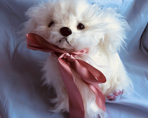 Amazon.co.jp: 犬 マルチーズ ぬいぐるみ 作家 ぬいぐるみ パピマル ぬいぐるみ : おもちゃ