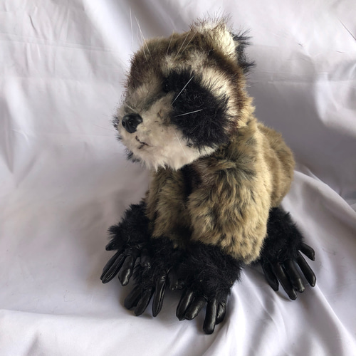 子アライグマのぬいぐるみ ぬいぐるみ 風間翔 通販 14247911