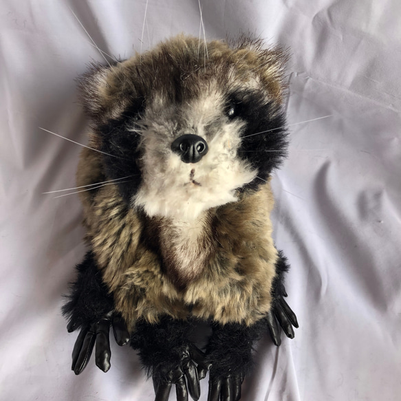 子アライグマのぬいぐるみ ぬいぐるみ 風間翔 通販 14247911