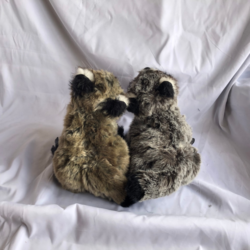 子アライグマのぬいぐるみ ぬいぐるみ 風間翔 通販 14247911