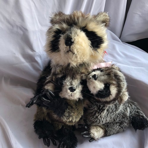 子アライグマのぬいぐるみ ぬいぐるみ 風間翔 通販 14247911