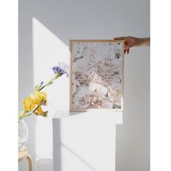 【アートポスター】植物　花　北欧　ピンク　ポスター　アート　インテリア　シンプル　芍薬　ボタニカル 1枚目の画像