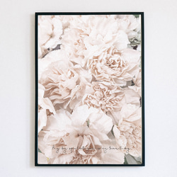 【アートポスター】植物　花　北欧　ピンク　ポスター　アート　インテリア　シンプル　芍薬　ボタニカル 2枚目の画像