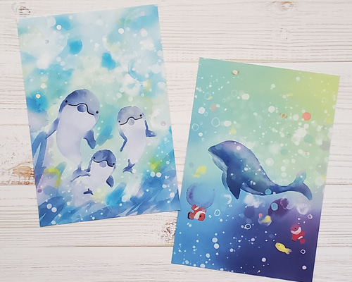 【正規品オラクルカード】水彩画の美麗イラスト✨イルカやクジラに会える海のデッキ Amazon.co.jp: オラクルカード水彩画の美麗イラストイルカや
