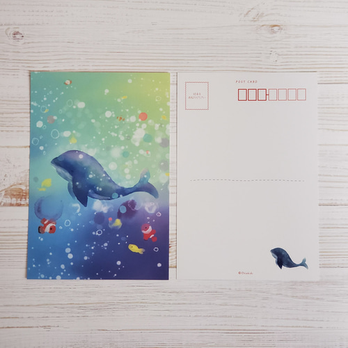 【正規品オラクルカード】水彩画の美麗イラスト✨イルカやクジラに会える海のデッキ 正規品オラクルカード】水彩画の美麗イラスト✨イルカやクジラに