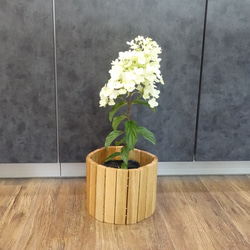 盆栽 『真柏』 松 和風 インテリア 園芸 ガーデニング おしゃれ 雑貨